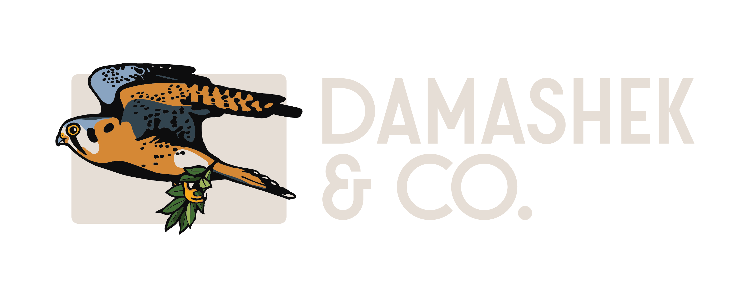DamashekAndCo-HorizontalLogo-Stone